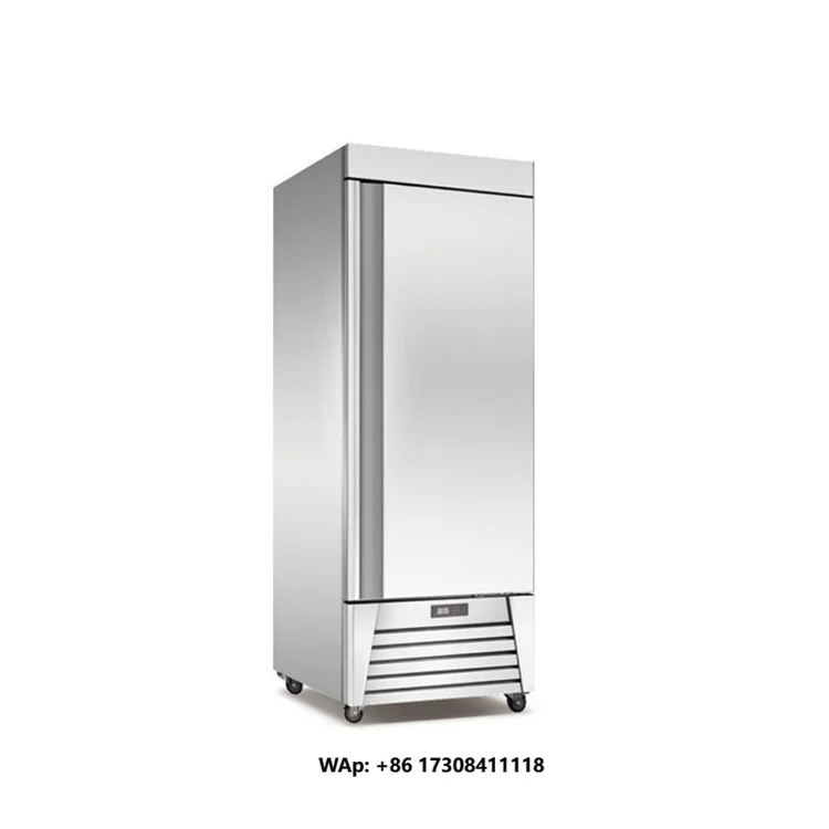 Commercial Upright Freezer Direct Cooling Display Fast  Digital Control 304 Stainless Steel Customizable Dimensions 220V