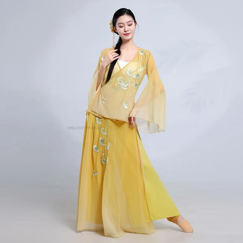 

Women's Classical Dance costume, Gradient Flowing Embroidered Shenyun Gauze Top Chinese Style Practice Performance Dance Wear