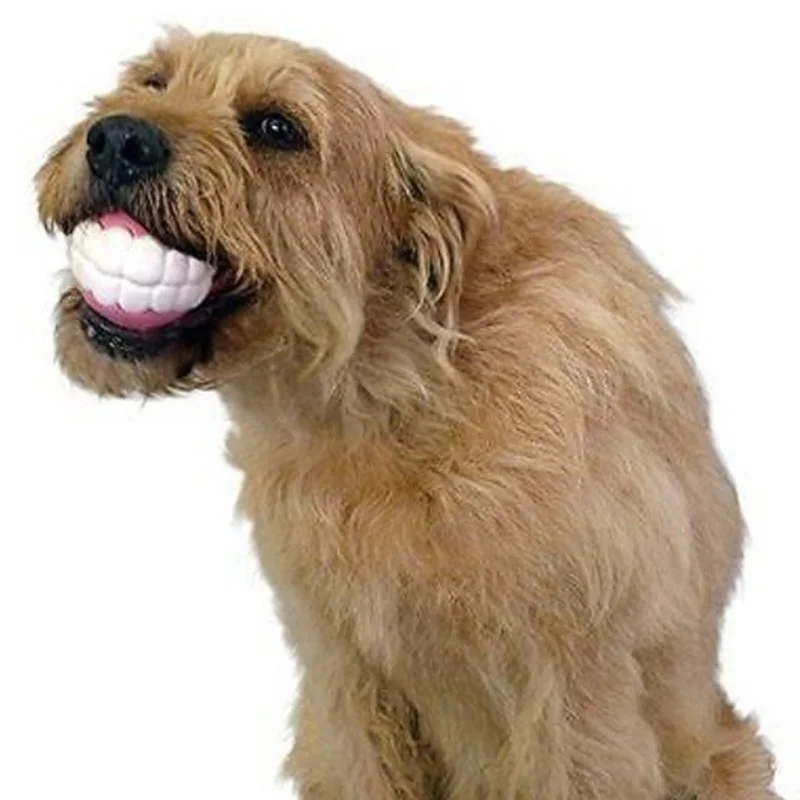 Pet Dog Puppy Ball Teeth Silicon Chew Toys Sound Novelty Playing Funny Toys Dog Accessories Dog Toys For Large Dogs Игрушки view 2
