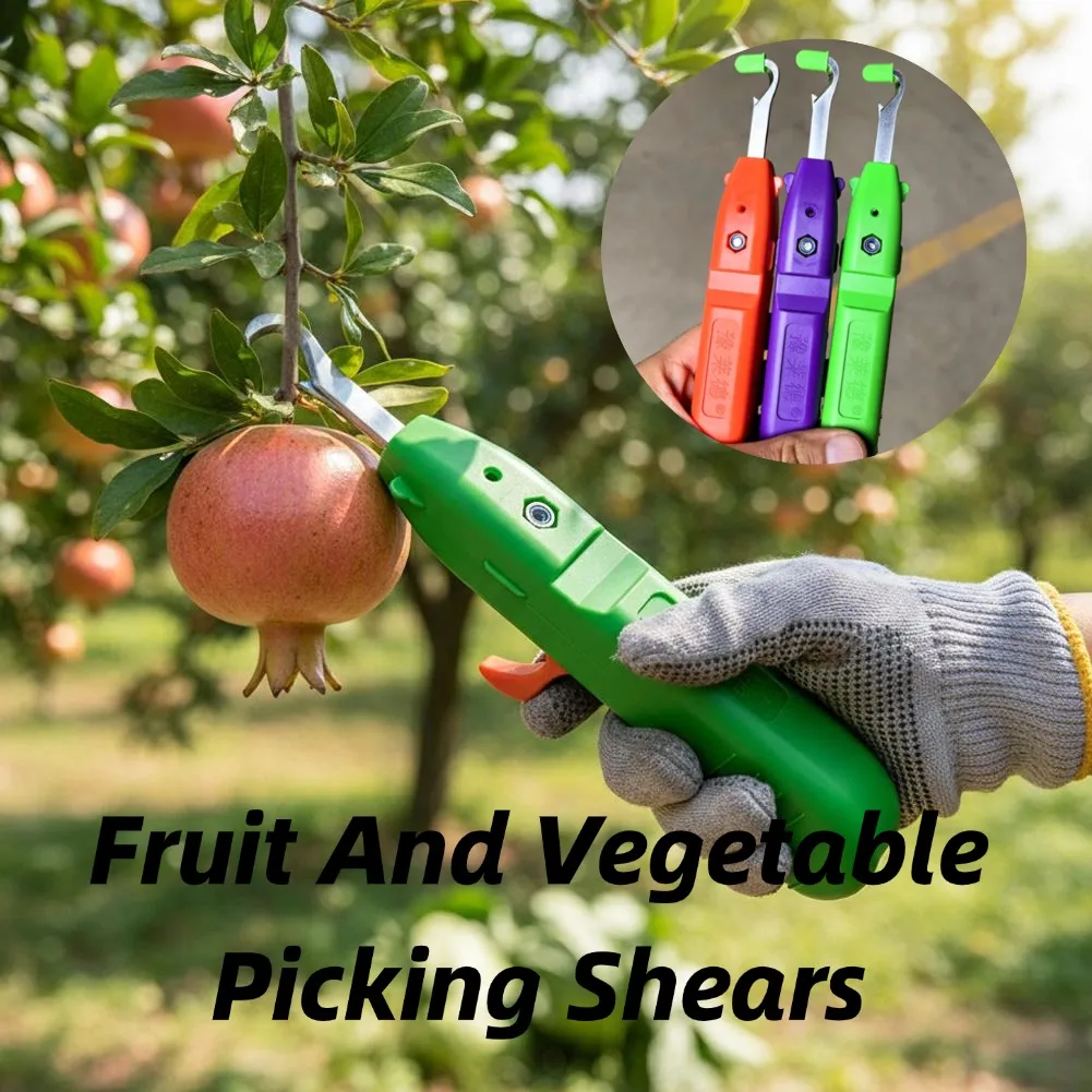 Fruit And Vegetable Picking Shears Garden Pruning Scissors Curved Blade Harvester Tool For Grape Pepper Harvesting