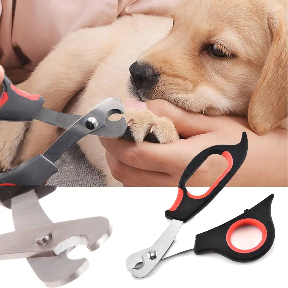 Rabbit Guinea Pig Cat Toe Claw Dog Trimmer Nail Cutter Nail Clipper Stainless Steel