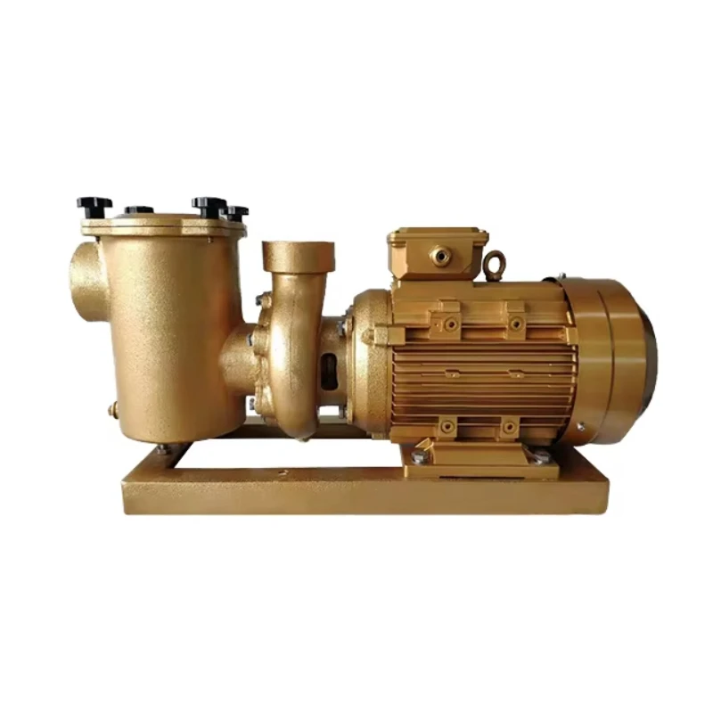 Electric pool pump anti-corrosion large flow swimming pool filter system