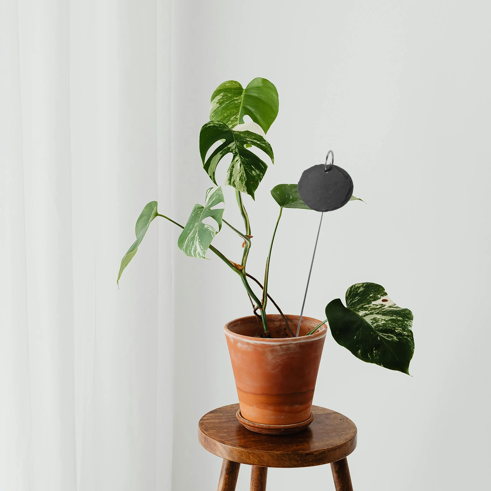 

2Pcs Natural Stone Garden Markers Waterproof Plant Labels Stylish Design for Outdoor Indoor Identification Large Plant Label