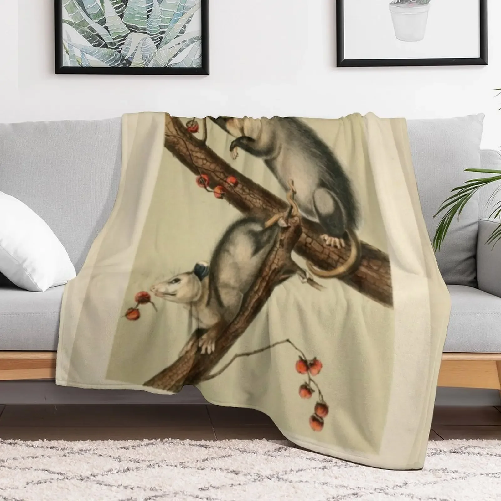 Naturalist Opossum Throw Blanket Decorative Throw Soft Plaid Blankets