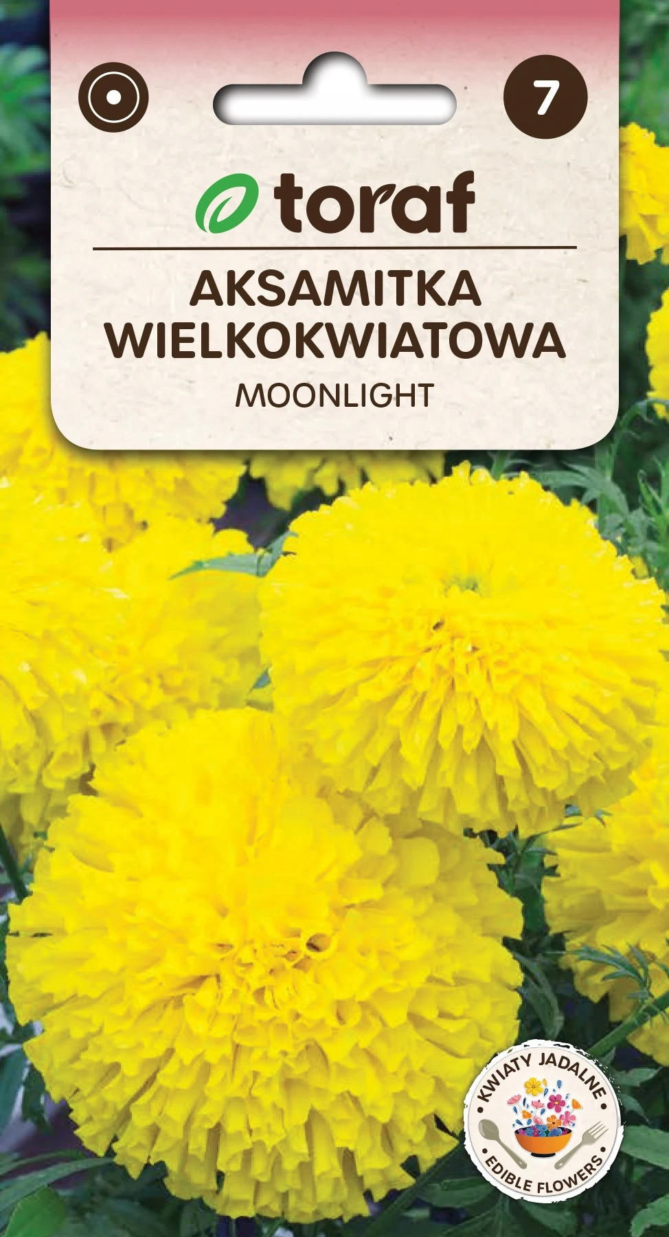 Bloemzaden GREAT Velvet Yellow Toraf Seeds 413