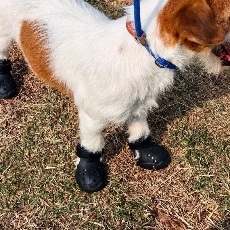 Zapatos de Verano para Perros Transpirables, con Orificios y Duraderos - imagen 2