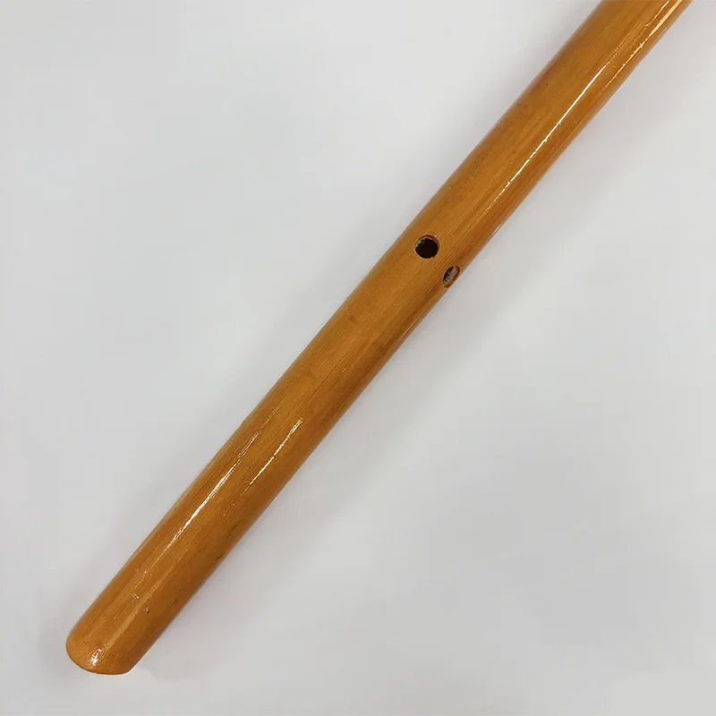 Flauto di bambù con registrato - Musical Instrument Theremin recensione e prezzo