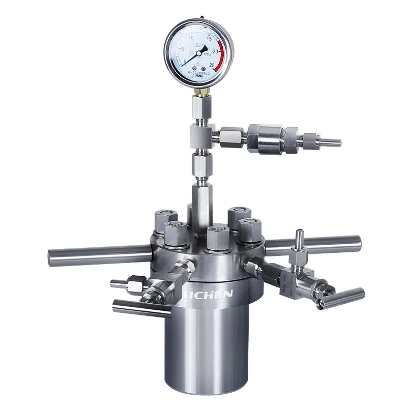 Stainless Steel Simple High Pressure Reactor Laboratory High Temperature and High Oxygen Resistance Desktop Micro Reactor