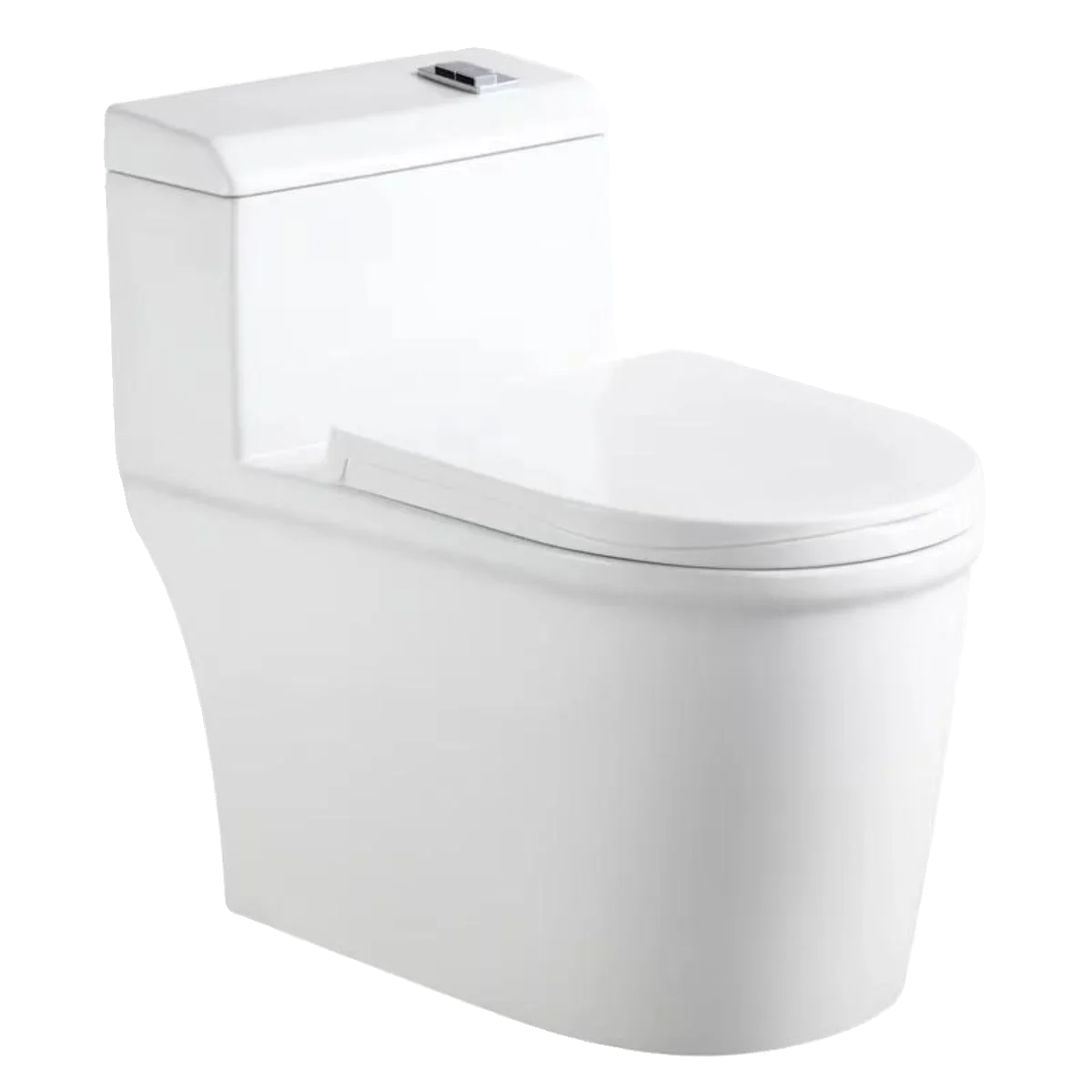 Toilet 200/280/350/380/450/480/500/550/580/600 Mm Pit Spacing Economical