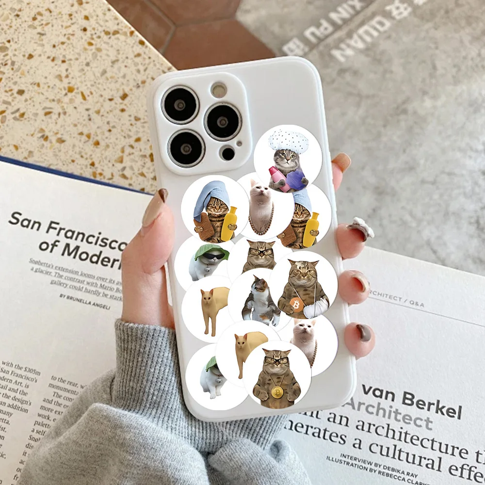 Рисунок 3 - забавный кот граффити эмоция мем