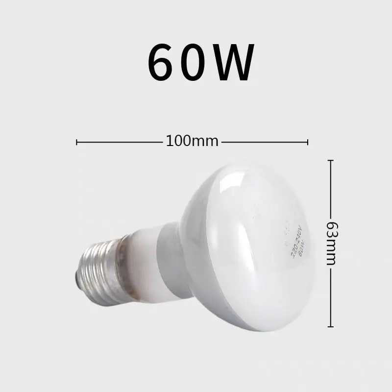 HoneyFly 2pcs R63 R80 Popcorn Warming Bulb E27 220V 60W/100W/150W Clear/Frosted Infrared Heating Lamp Cinema Snacks Warmer