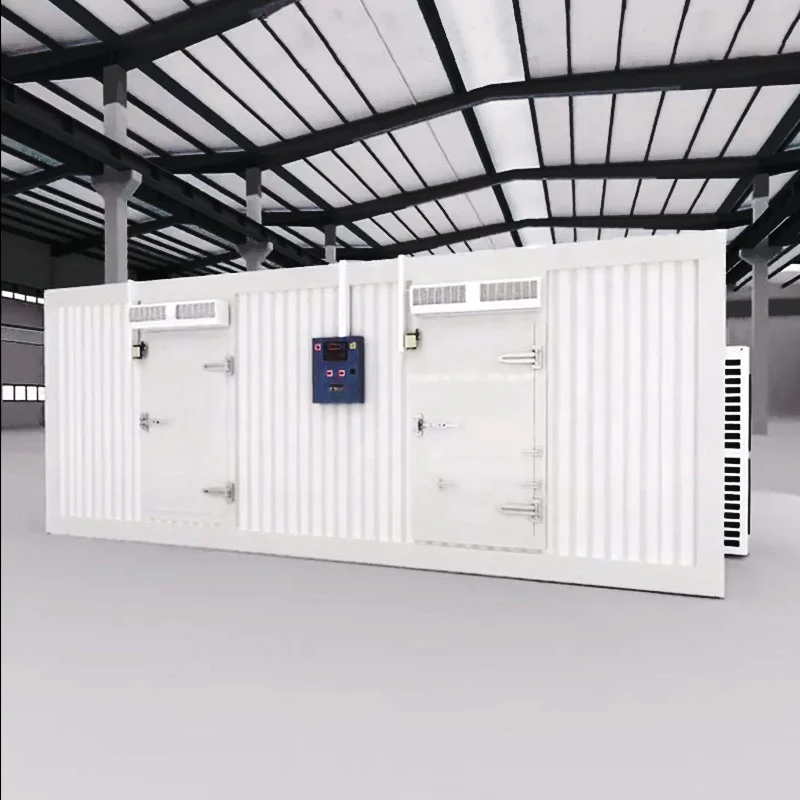 Camminata nel frigorifero Refrigerazione Camera fredda Sala di stoccaggio freddo Prezzo Congelatore