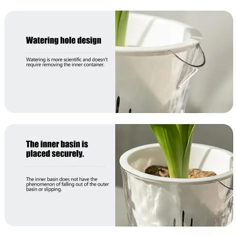 QX2E Six Contemporary Growing Bowls Combining Function And Artistic Look