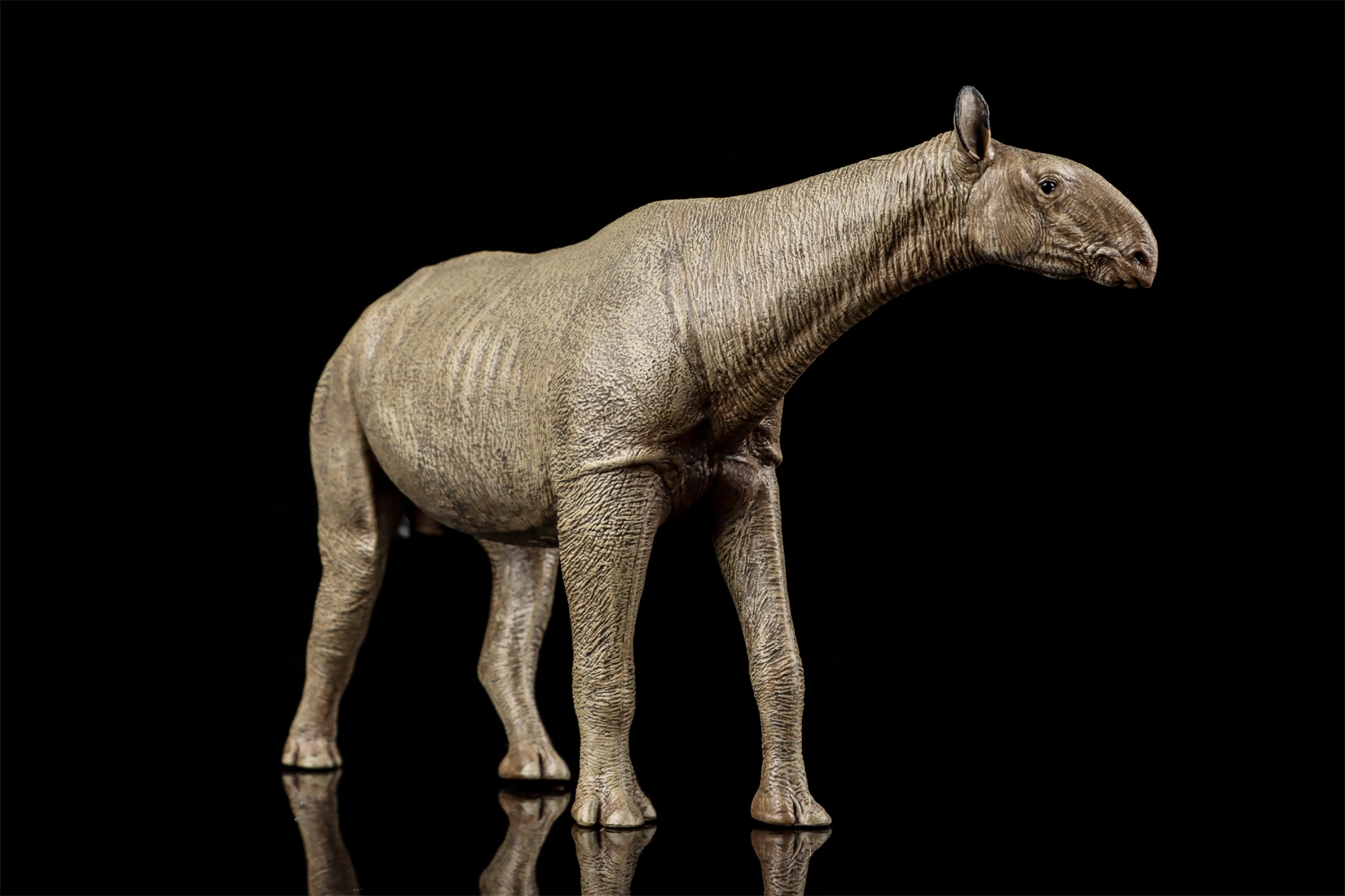 Eofauna 1:35 Scale Paraceratherium Grangeri Figure Paraceratheriidae Prehistoric Giant Rhino Animal Collection Scene Decoration