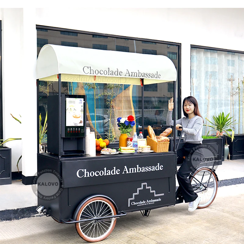 OEM Customized Food Takeaway Vending Bike 3 Wheel Electric Cargo Bicycle Mobile Street Snack Vending Cart Hot Dog Trike