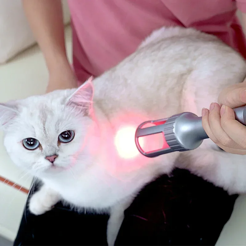 Class IV Low Level Veterinary Therapy Laser 810nm 980nm Animal Surgical Rehabilitation Pain Relief Tissue Healing