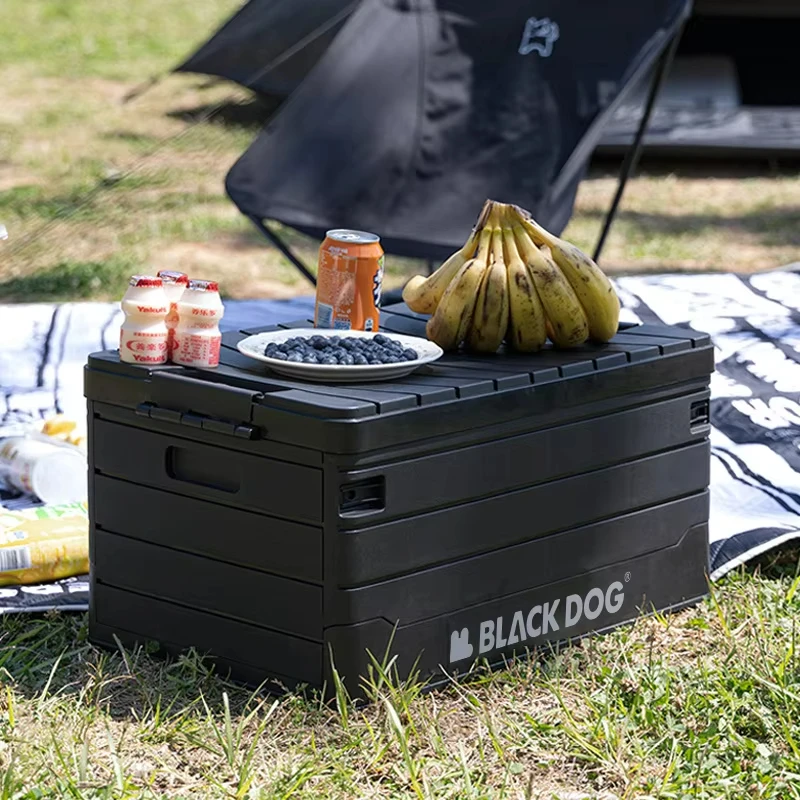 Blackdog 60L Foldable PP Storage Box Portable Camping Picnic Box for Self-driving Car Heavy Duty Collapsible Trunk Organizer