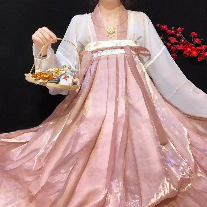 Chinese Style Hanfu Tang Dynasty Summer New Female Embroidered Ancient Style Cosplay Hanfu Costume Fairy Chiffon Hanfu Dress Hot