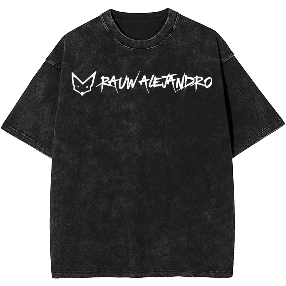 Harajuku Washed Shirts Rauw Alejandro Logo Hip Hop Outfit Vintage T-Shirts Oversize Streetwear Short Sleeve Summer Tee Shirt