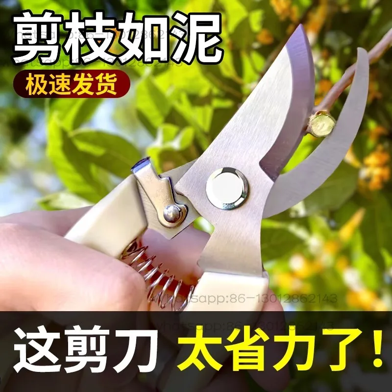 

Gardening Scissors Pruning Fruit Tree Branches Stainless Steel Scissors Gardening Flower Pruning Special Flower Scissors