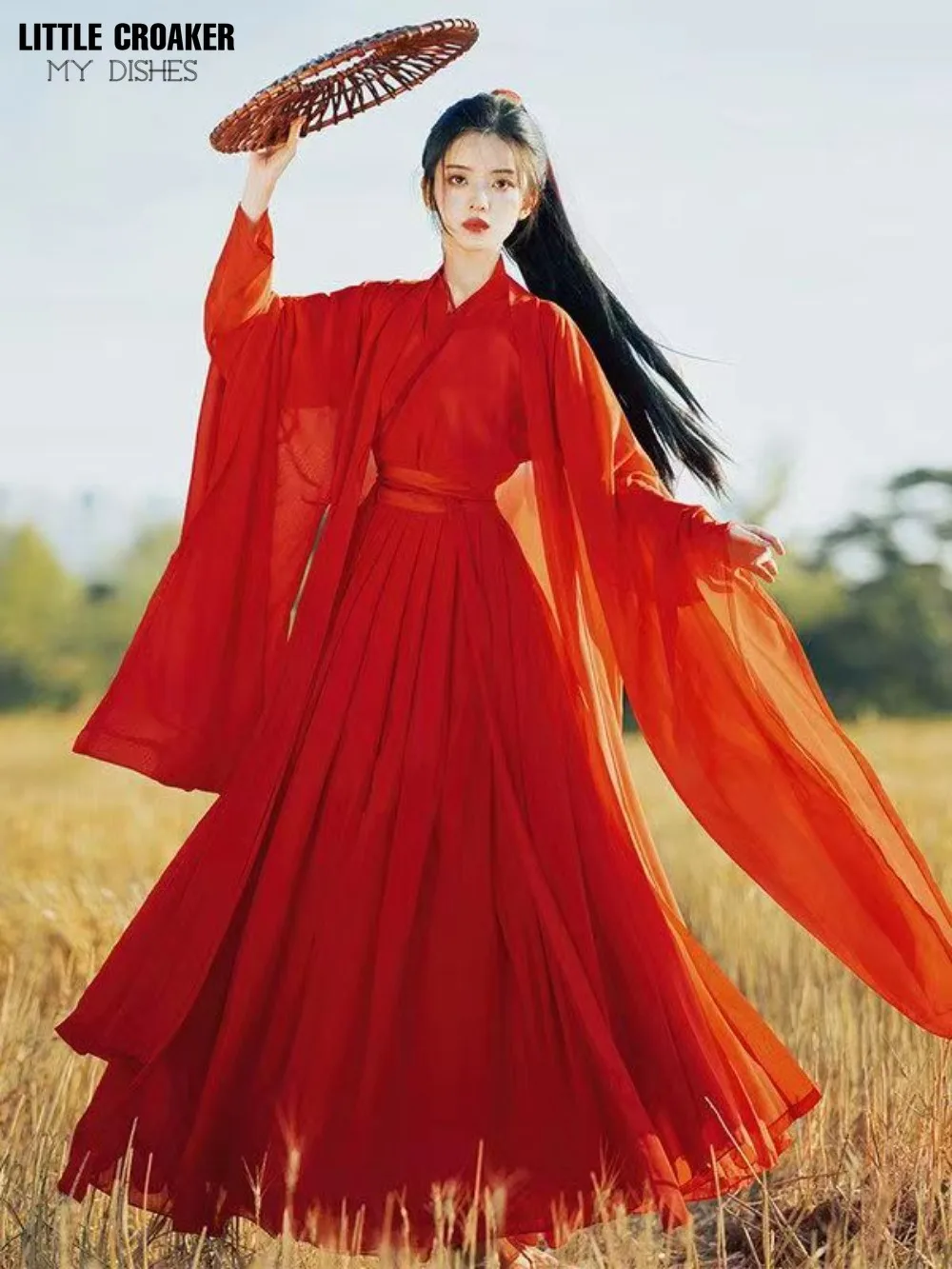 Chinese Traditional Folk Dance Costume Women Hanfu Clothing Lady Ancient Swordsman Cosplay Outfit Tang Dynasty Stage Dance Wear