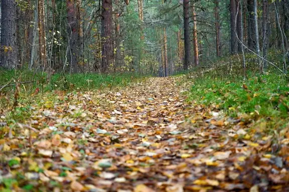 

HawkSpeed Ultra Power UP-S6AC 6-Channel Battery Charger - 6x4.35W, AC/DC, LCD Display for 1S LiPo/LiHV RC Models