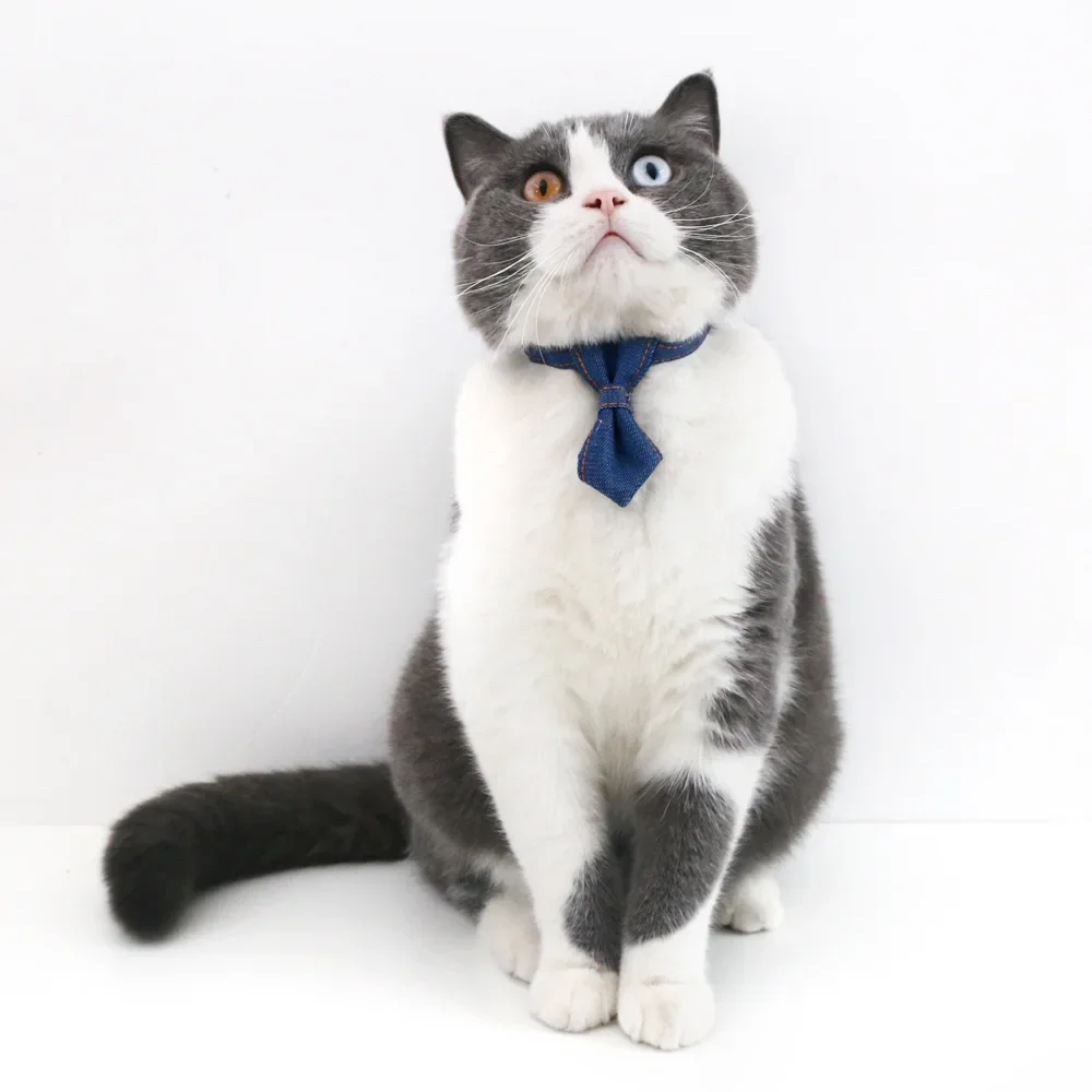 Pet Denim Bow Tie Collar for Dressing Up Cats Dog Adjustable Necktie Collar Rabbit for Taking Photo Cute Accessory for Going Out