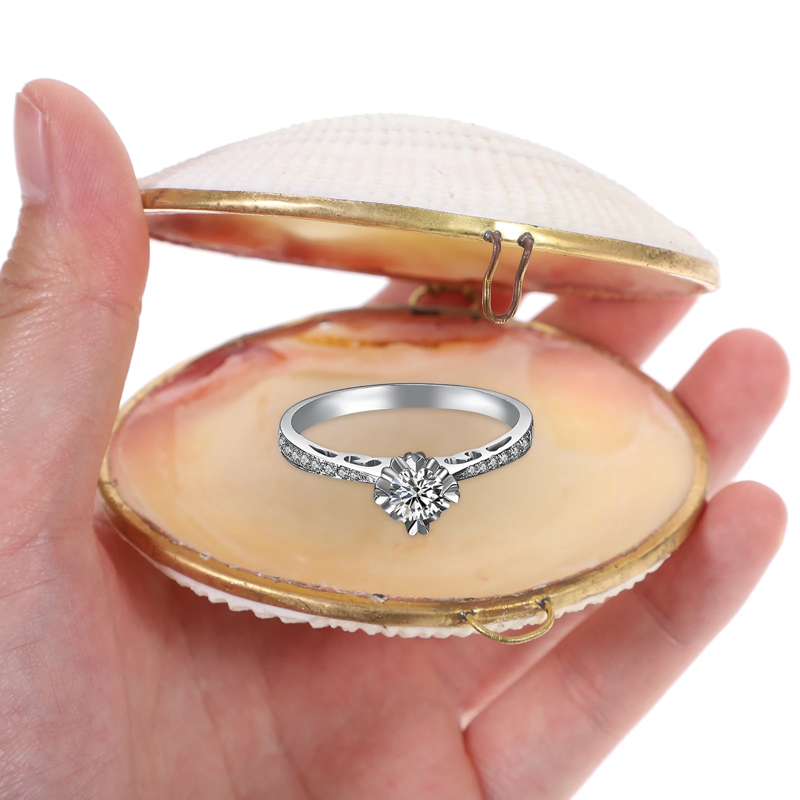 

Shell Jewelry Box Storage Case Display Trinket Container Earring Ring Holder Mermaid Style Seashell Clam Dish Wedding