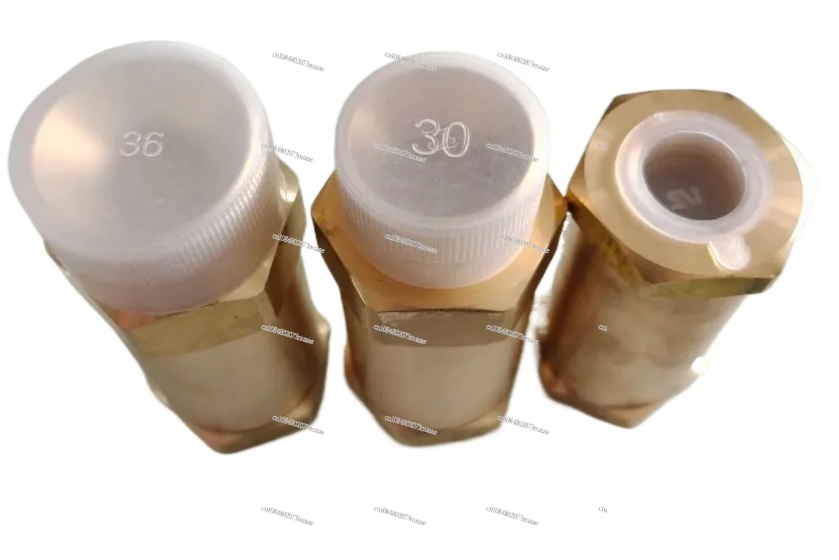 Designed for LNG Vehicles: High-quality Cryogenic Check Valves, Including Brass