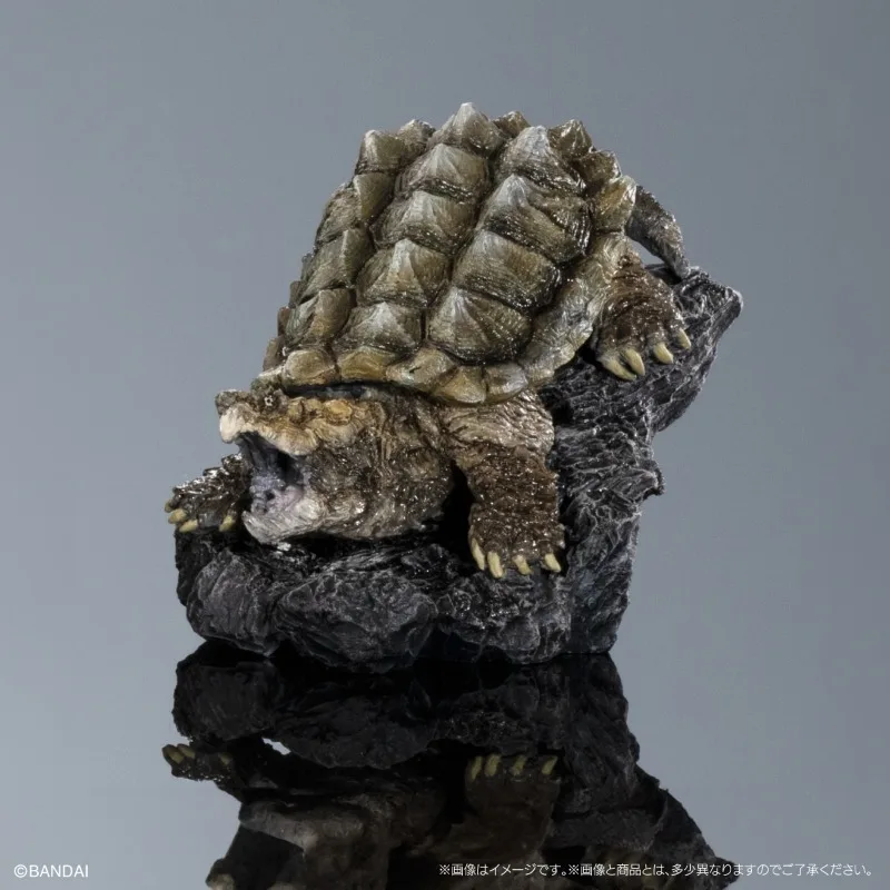 الموسوعة البيولوجية الأصلية من بانداي ألعاب غاشابون سلسلة السلاحف البحرية 01 زخرفة نموذج السلحفاة تشيلوس فيمبرياتا