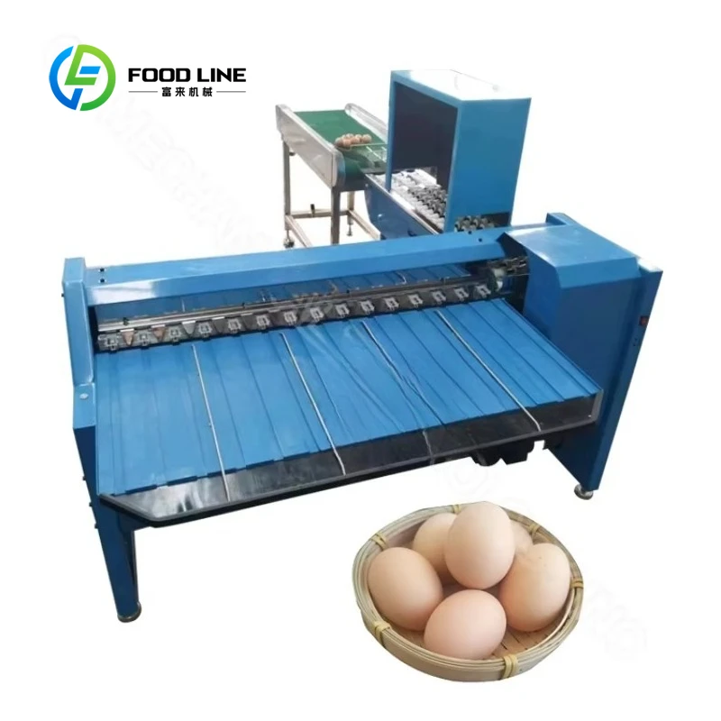 Automatic egg sorting and packaging machines