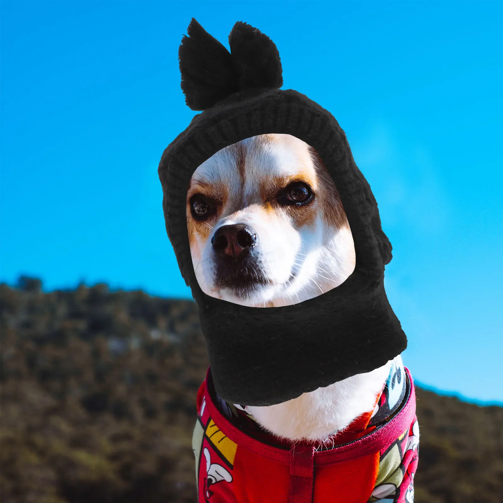 

Warm Woolen Lined Dog Hat Winter Pet Cap Cute Puppy Headgear Outdoor Cold Weather Lightweight Comfortable Dog Ear Cover