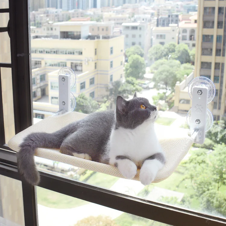 

Pets Cat Hammock onto windows