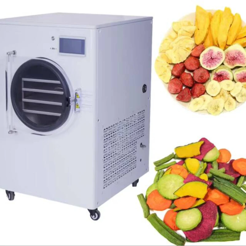 

Vacuum Freeze Dryer For Fruit And Vegetable Yeast Automated Vacuum Low-temperature Freeze Dryer