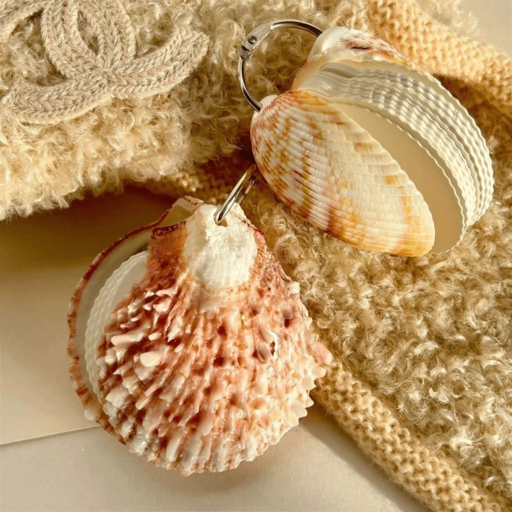 Natural Shell Abalone Shell Notebook Lightweight Smooth Pages Natural Seashell Notebook Mini Compact Gradient Color