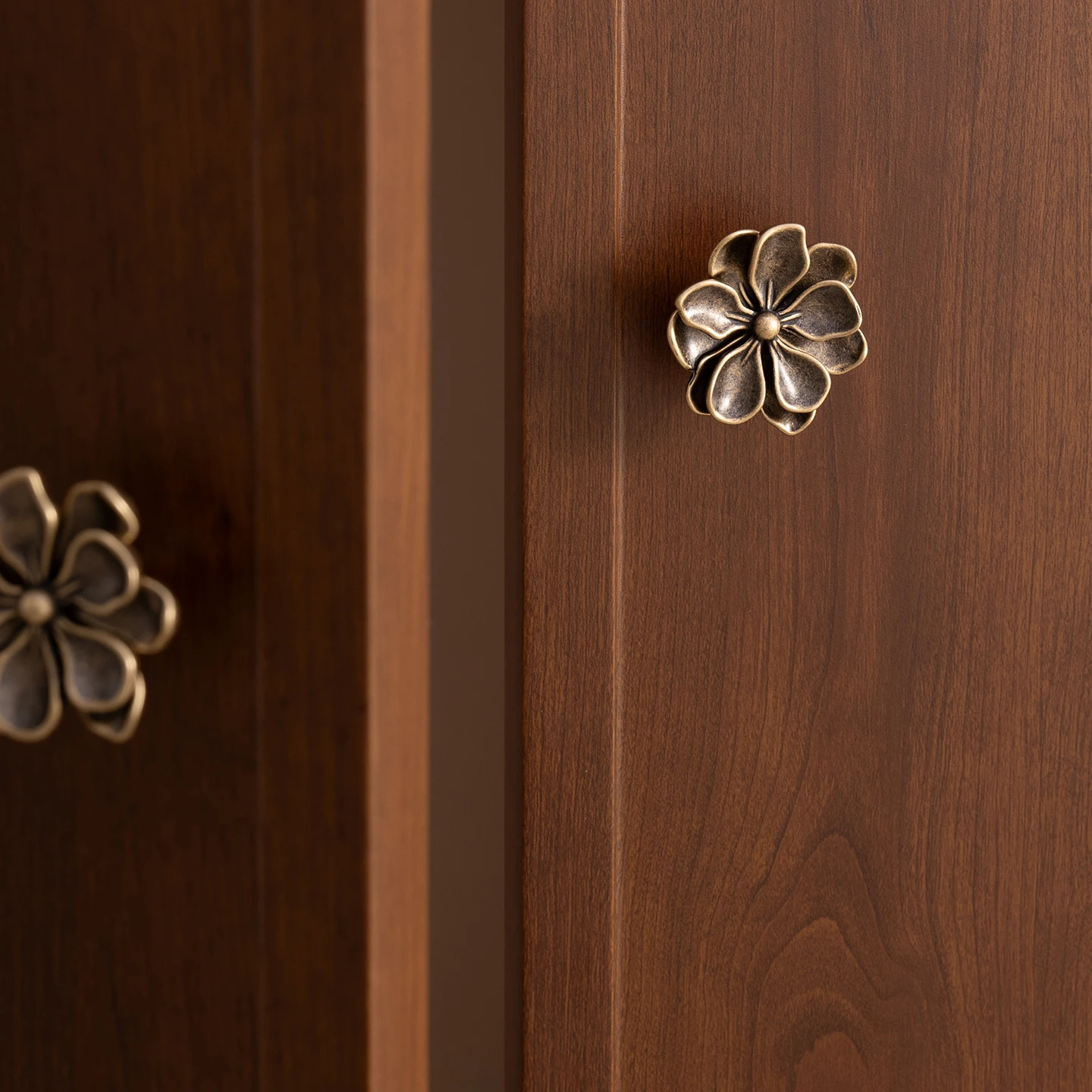 camellia brass cabinet knobs product detail 11