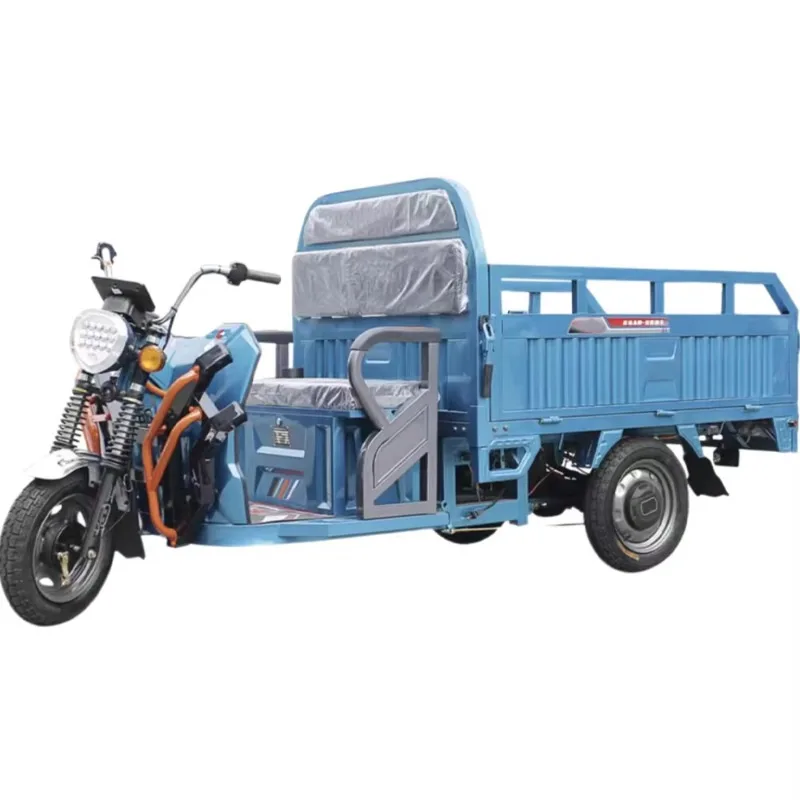 Factory Supply Cargo tricycle 1000W Sanbengzi Electric Motorcycle 3 Wheel Electric Tricycle Bike For Adults