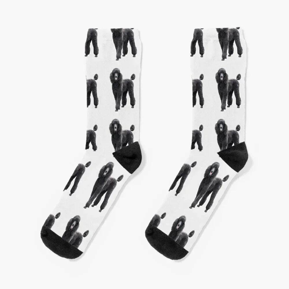 Poodle Standard Black Cute elegant puppy dog Socks anime winter gifts new in's Socks Male Women's