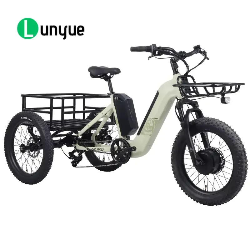 500W Motor 20 Inch Fat Tire Electric Tricycle Dual Battery 3 Wheel E Trike Pedal Assist Cargo Bike for Adult Freight Delivery