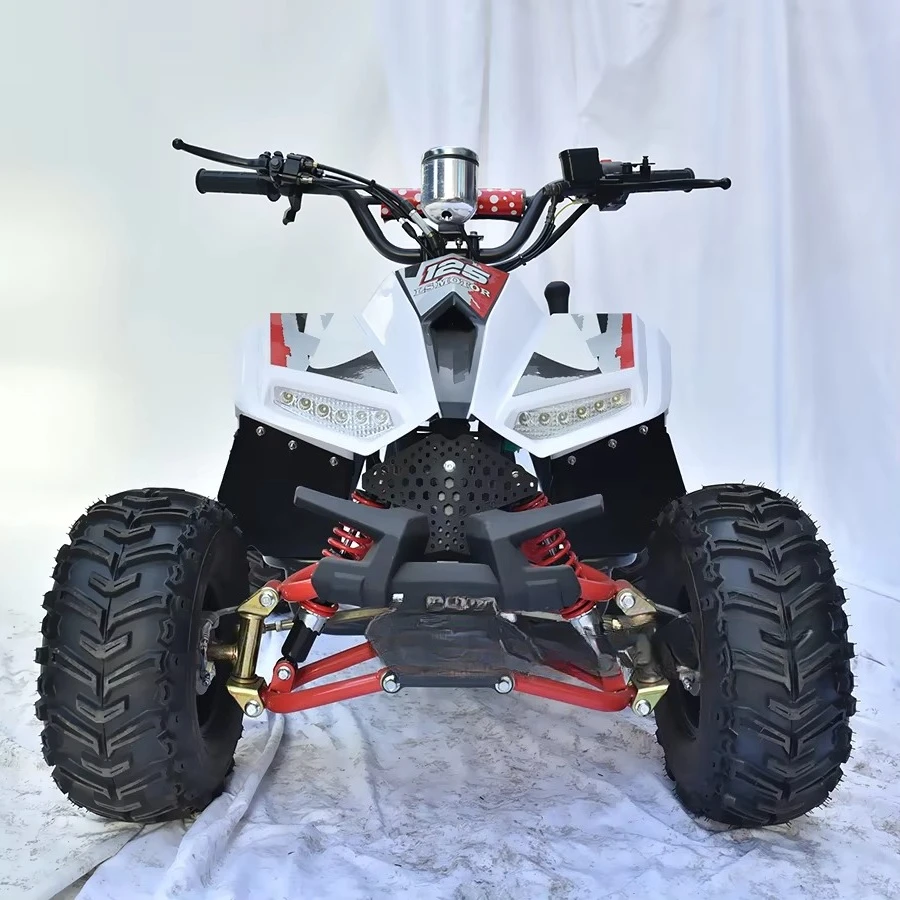Professional Factory 110cc Aurui Youth Quad With 4 Wheels