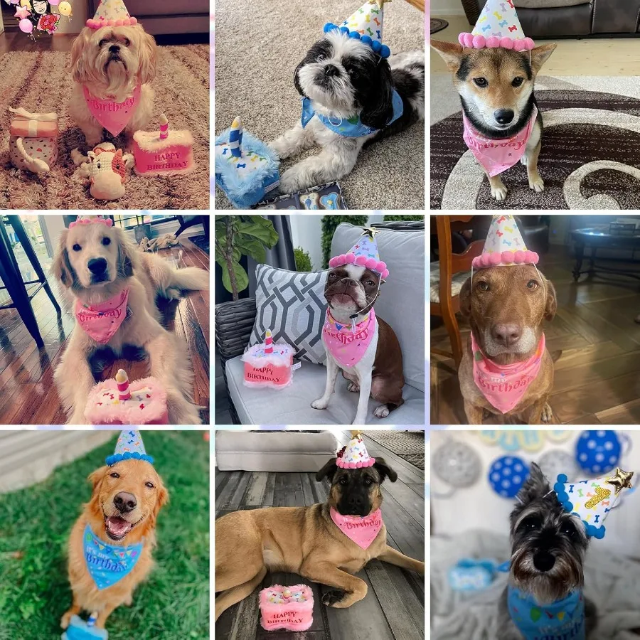 زي عيد ميلاد الكلب، قبعة لطيفة، وشاح باندا وكعكة صارصة، لعبة الكلب لحفلات أعياد الميلاد، هدية رائعة للحفلات الصغيرة
