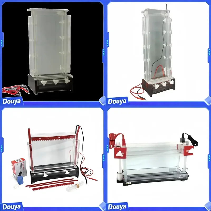 DYCZ-20B Glass Gel Electrophoresis System (LxW) 480x170mm 750ml Vertical Electrophoresis Power Supply OEM Customizable Lab