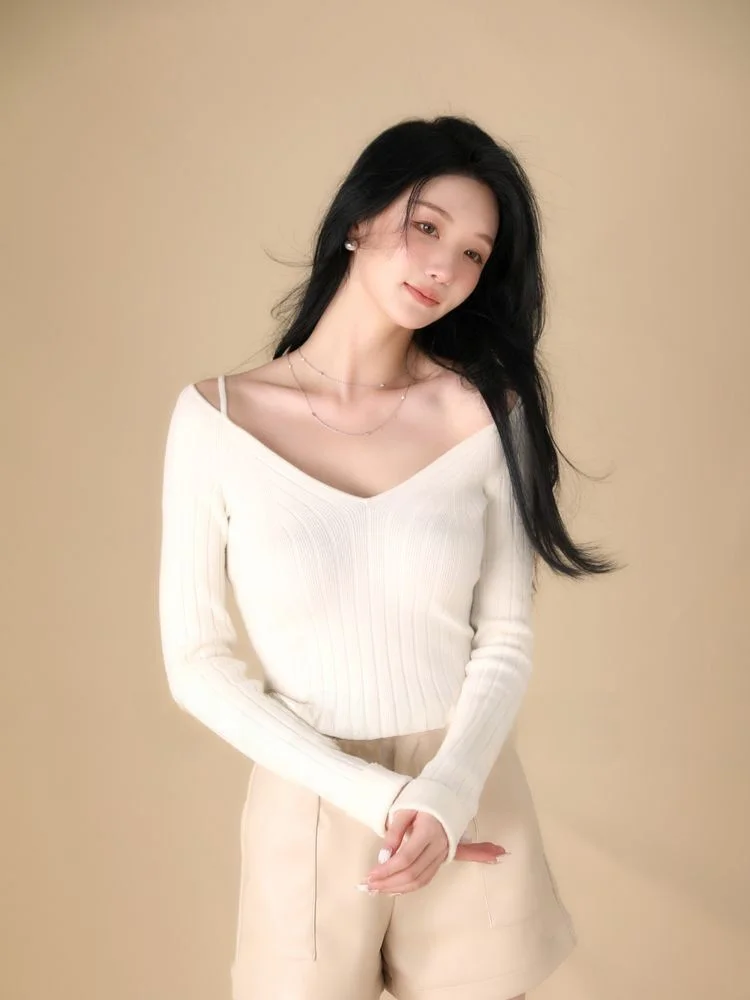 

Women's Slim Fit Knitted Wool Blend Top V-Ne Autumn Winter Sle Double Color Ballet Neline Polyester Rayon Acrylic Wool