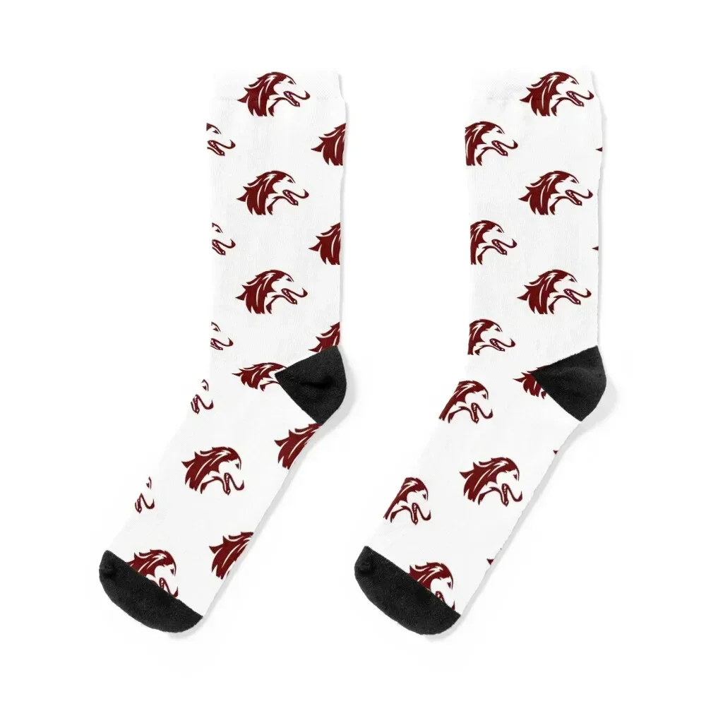 

the Salukis-Southern Illinois-icon Socks winter winter thermal sport Socks Woman Men's