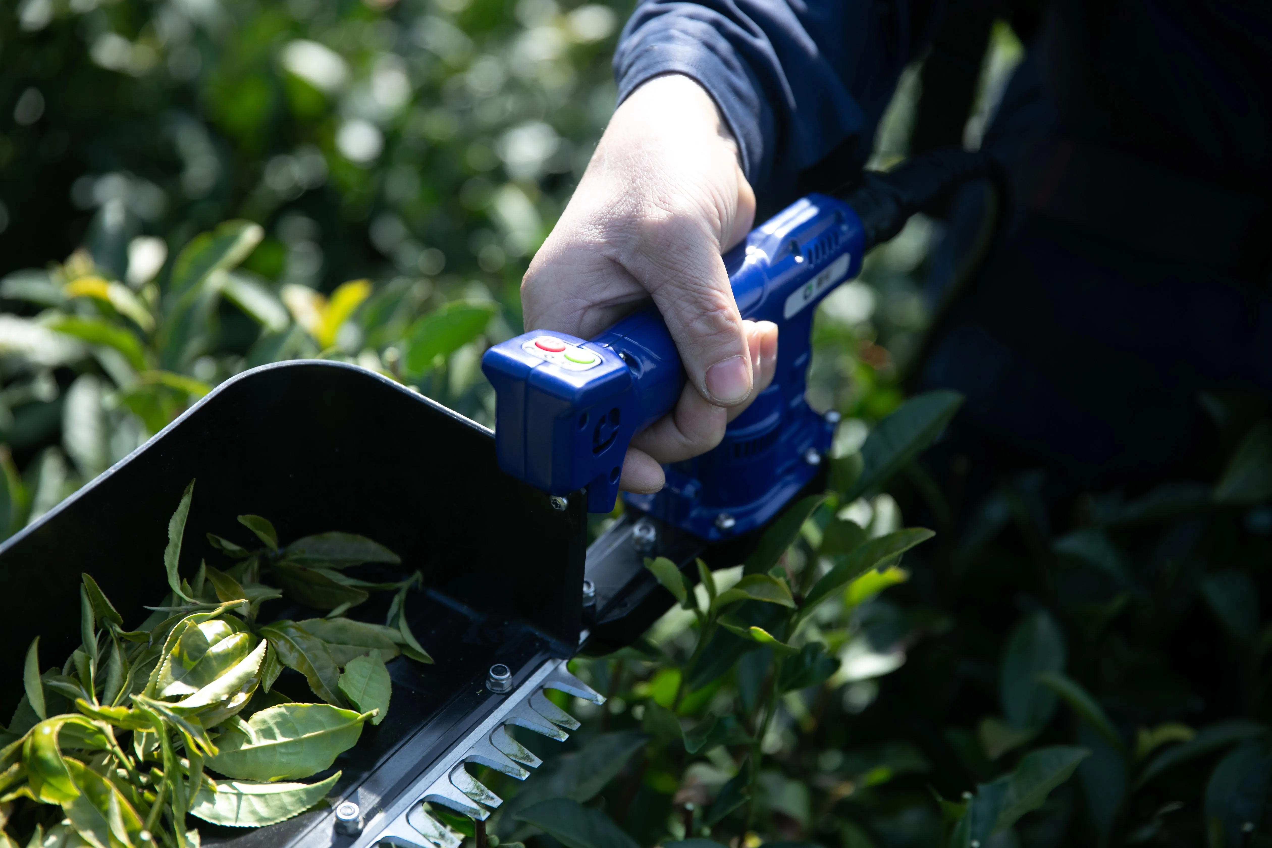 2022 New Design Electric Tea Picking Machine Equipped With Brush-less Iron-less Disc Motor