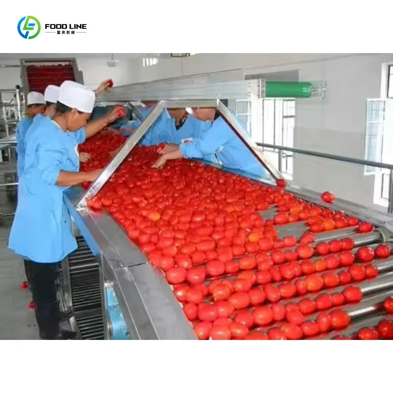 Customized Automatic Ketchup Processing Production Line Manufacturing Machine Factory