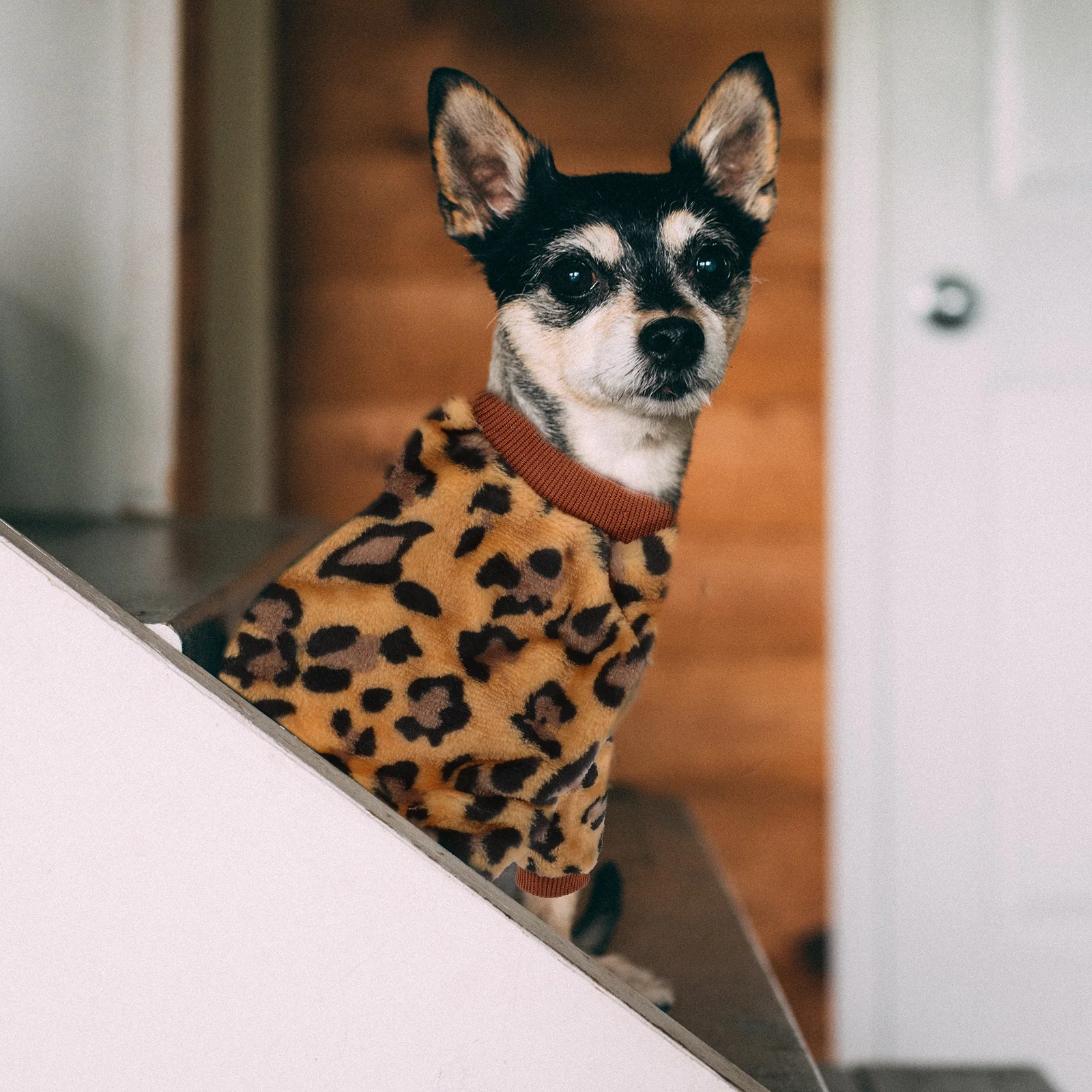 

Adorable Small Dog Sweater Winter Warm Dog Clothes Soft Breathable Puppy Coat Durable Comfortable Pet Clothing
