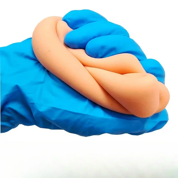 Human Intestinal Anastomosis Model, Laparoscopic Suture Training Simulator