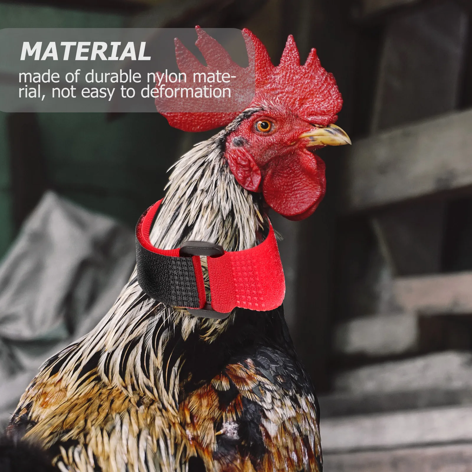 

8Pcs Anti-Crowing Neckbands Rooster Collars Adjustable Nylon Stop Crowing Collar Flexible Poultry Neck Belts Poultry Collars