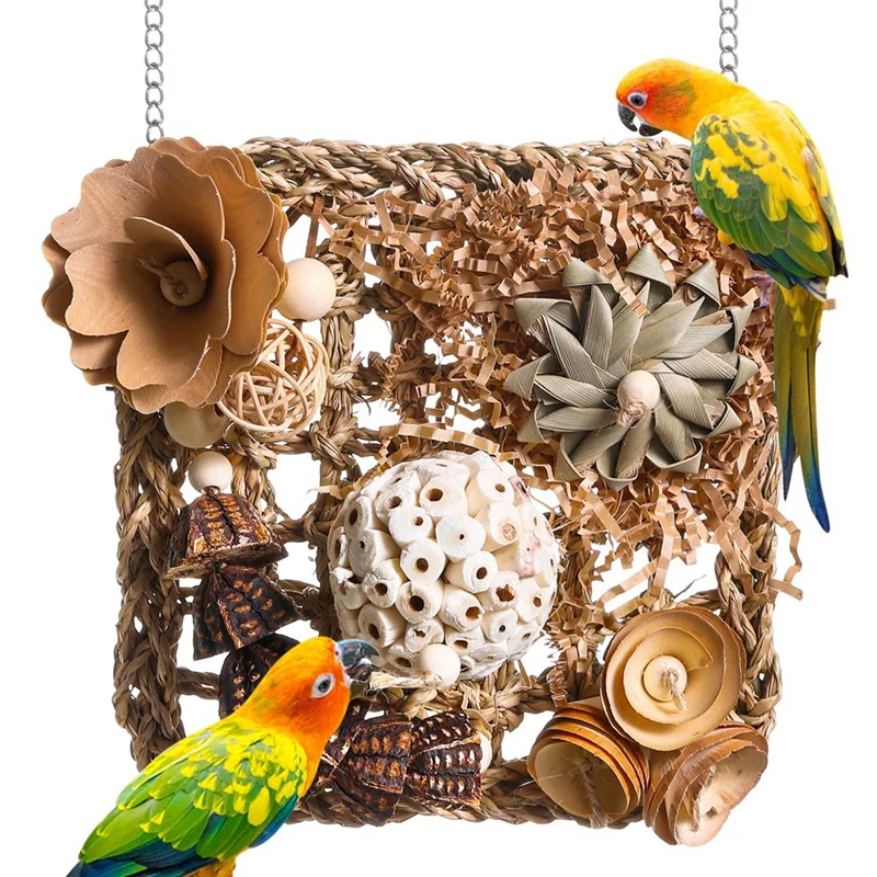 Jouets pour oiseaux, mur d'escalade, pour perruche, perroquet, calopsitte, conure, inséparable